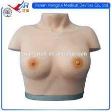 ISO Advanced Breast Examination Model